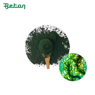 Økologisk Chlorella pulver